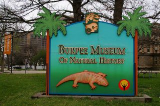 Burpee Museum sign